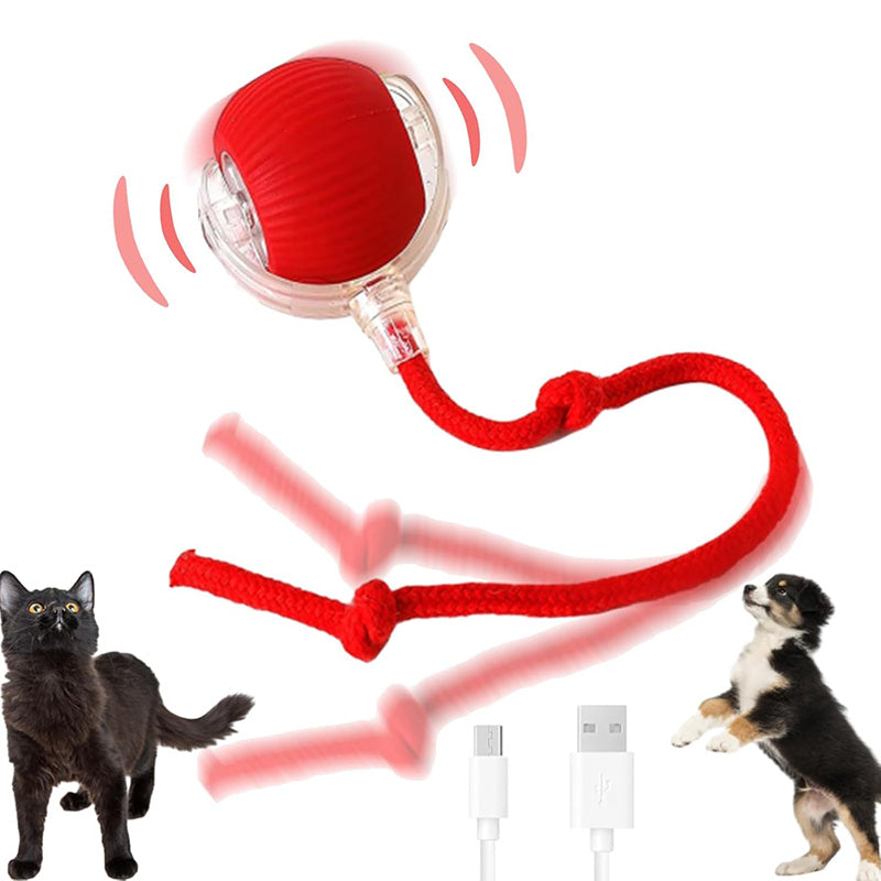2026 New - Interactive Rolling Ball for Cat & Dog