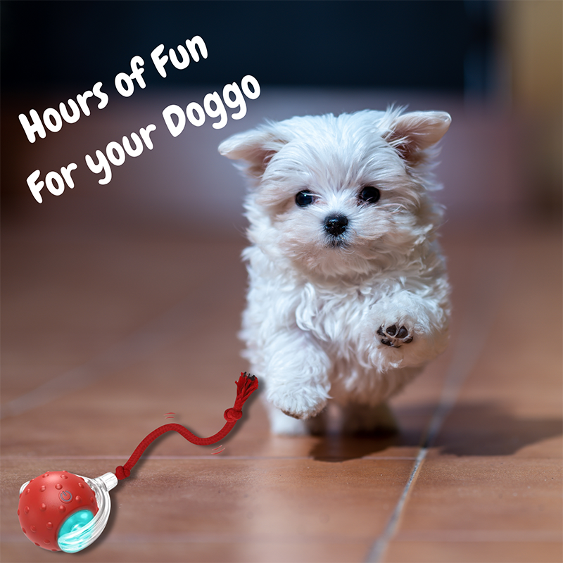 2026 New - Interactive Rolling Ball for Cat & Dog