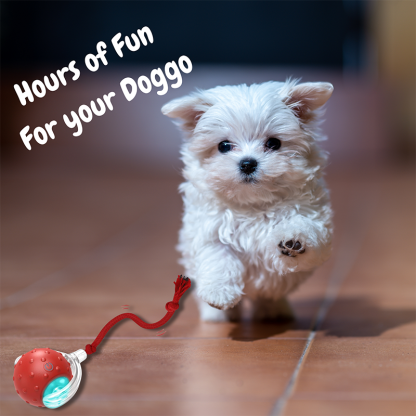 2026 New - Interactive Rolling Ball for Cat & Dog