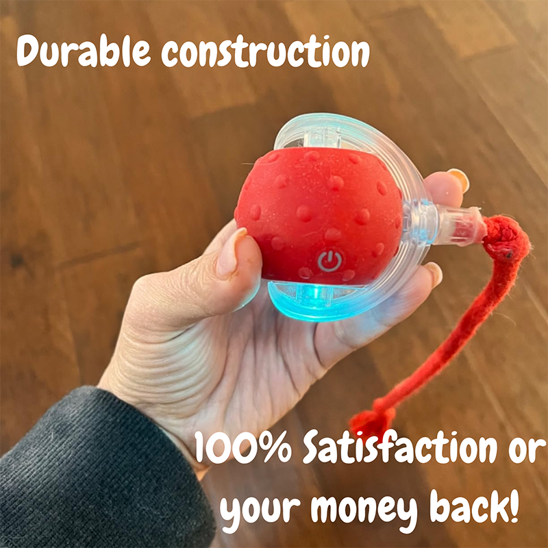 2026 New - Interactive Rolling Ball for Cat & Dog