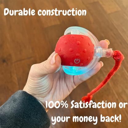 2026 New - Interactive Rolling Ball for Cat & Dog