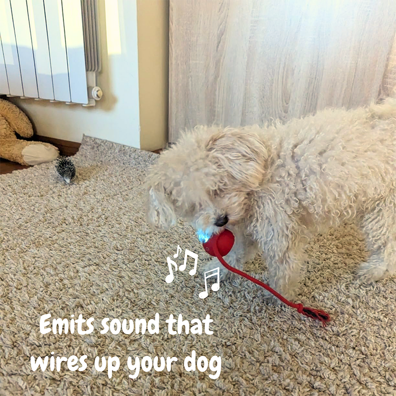 2026 New - Interactive Rolling Ball for Cat & Dog