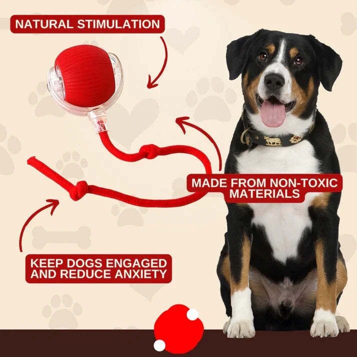 2026 New - Interactive Rolling Ball for Cat & Dog