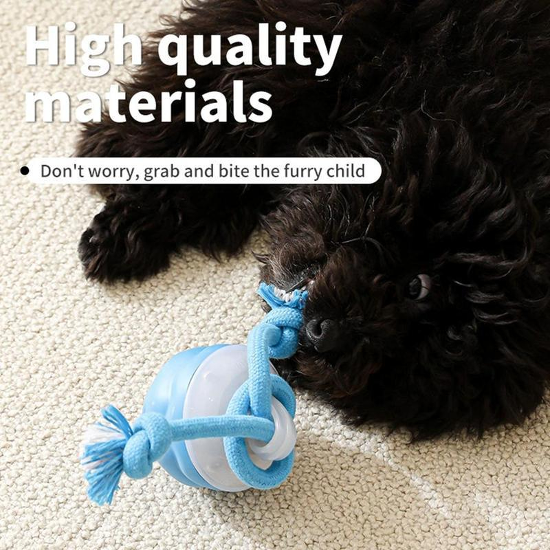 Interactive Dog Toys with Motion Activated, Squeaky Dog Toy Active Rolling Ball Wicked Ball for Daily Training,Used for cats and dogs, pet accessories, cute pet toys