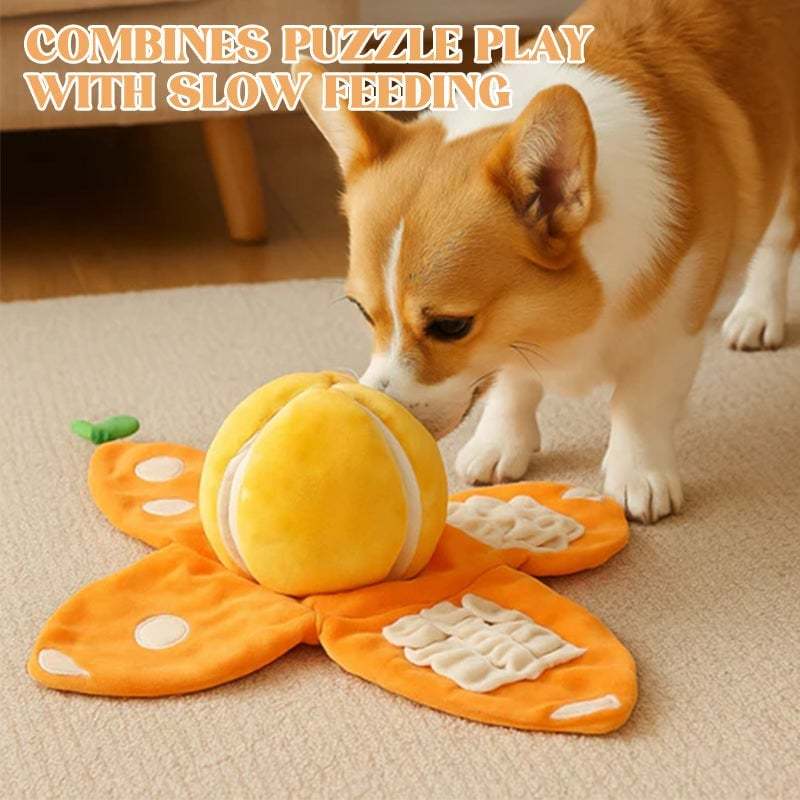 Orange Hide-and-Seek Plush Dog Toy
