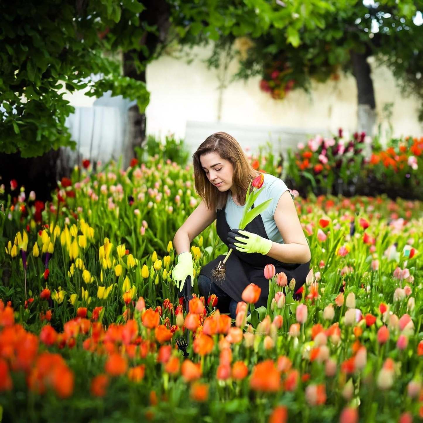 New Garden Weed Pulling Tool