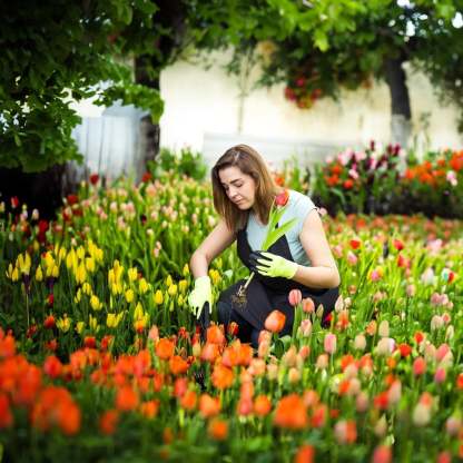 New Garden Weed Pulling Tool