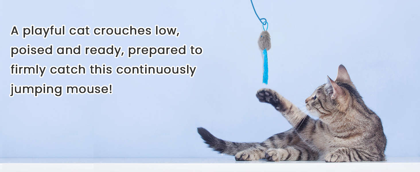 Cat Toys Interactive for Indoor Cats