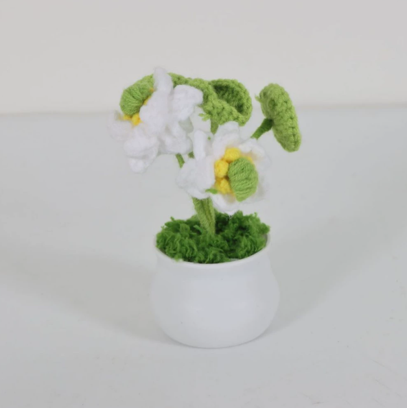 Personalized Crochet Flower in Pot Handmade Gift for Her Personalized Gift for Teacher Home Decoration Desk Decoration Crochet Rose in Pot