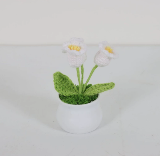 Personalized Crochet Flower in Pot Handmade Gift for Her Personalized Gift for Teacher Home Decoration Desk Decoration Crochet Rose in Pot