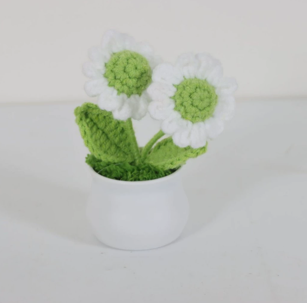 Personalized Crochet Flower in Pot Handmade Gift for Her Personalized Gift for Teacher Home Decoration Desk Decoration Crochet Rose in Pot