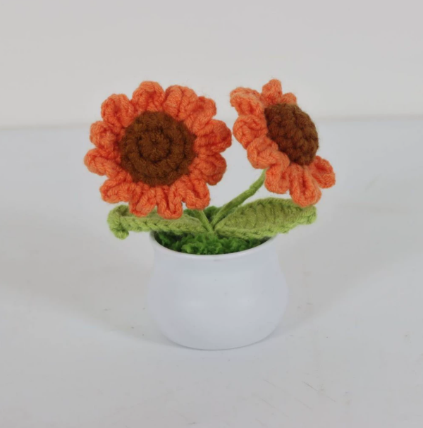Personalized Crochet Flower in Pot Handmade Gift for Her Personalized Gift for Teacher Home Decoration Desk Decoration Crochet Rose in Pot