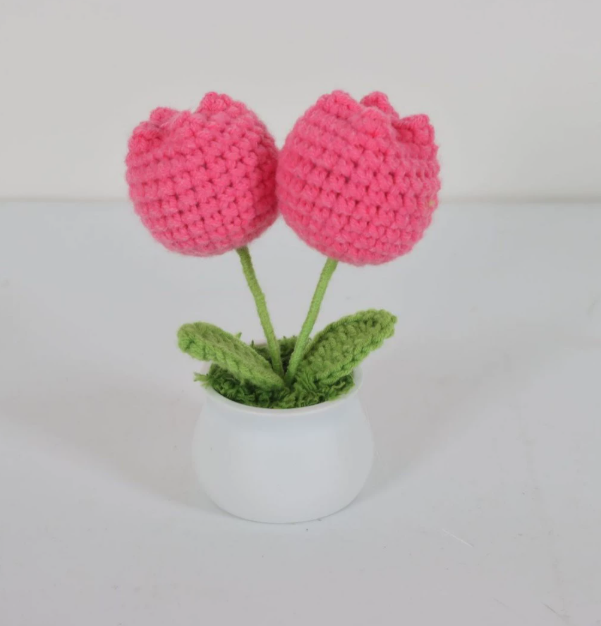 Personalized Crochet Flower in Pot Handmade Gift for Her Personalized Gift for Teacher Home Decoration Desk Decoration Crochet Rose in Pot