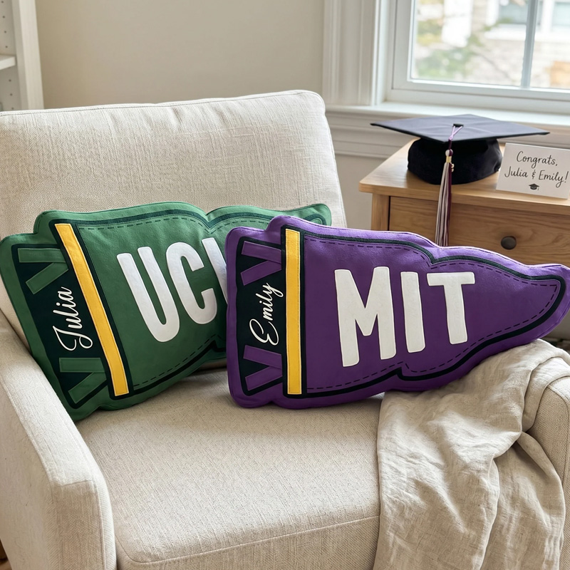 Personalized Custom College Pennant Name Initials School Spirit Graduation Gift Dorm Room Decor 3D Print Pillow
