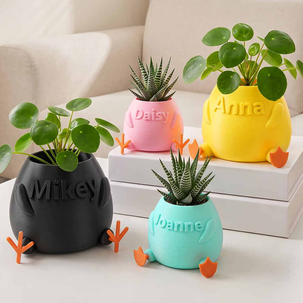 Personalized Name 3D Printed Planter with Duck Feet/Chicken Feet Succulent Flower Plant Pot Farmhouse Decor