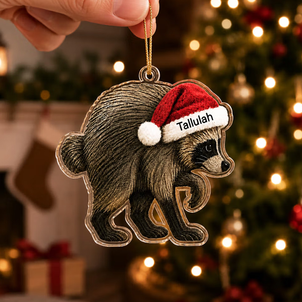 Personalized Jimothy Raccoon Shaped Acrylic Ornament with Name Home Decor Christmas Gift for Family Friends
