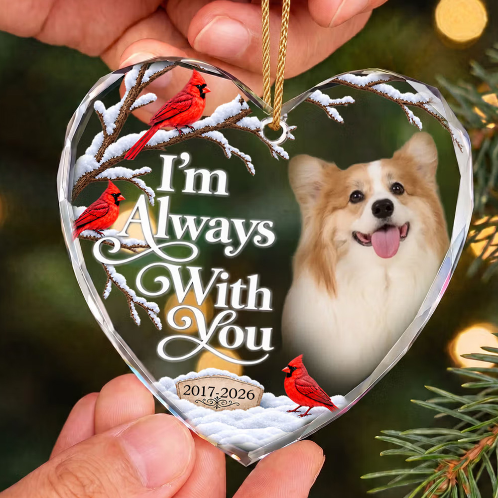 Personalized Cardinal Bird Winter Christmas Glass Ornament with Photo and Year Home Decor Christmas Memorial Gift for Family Couples