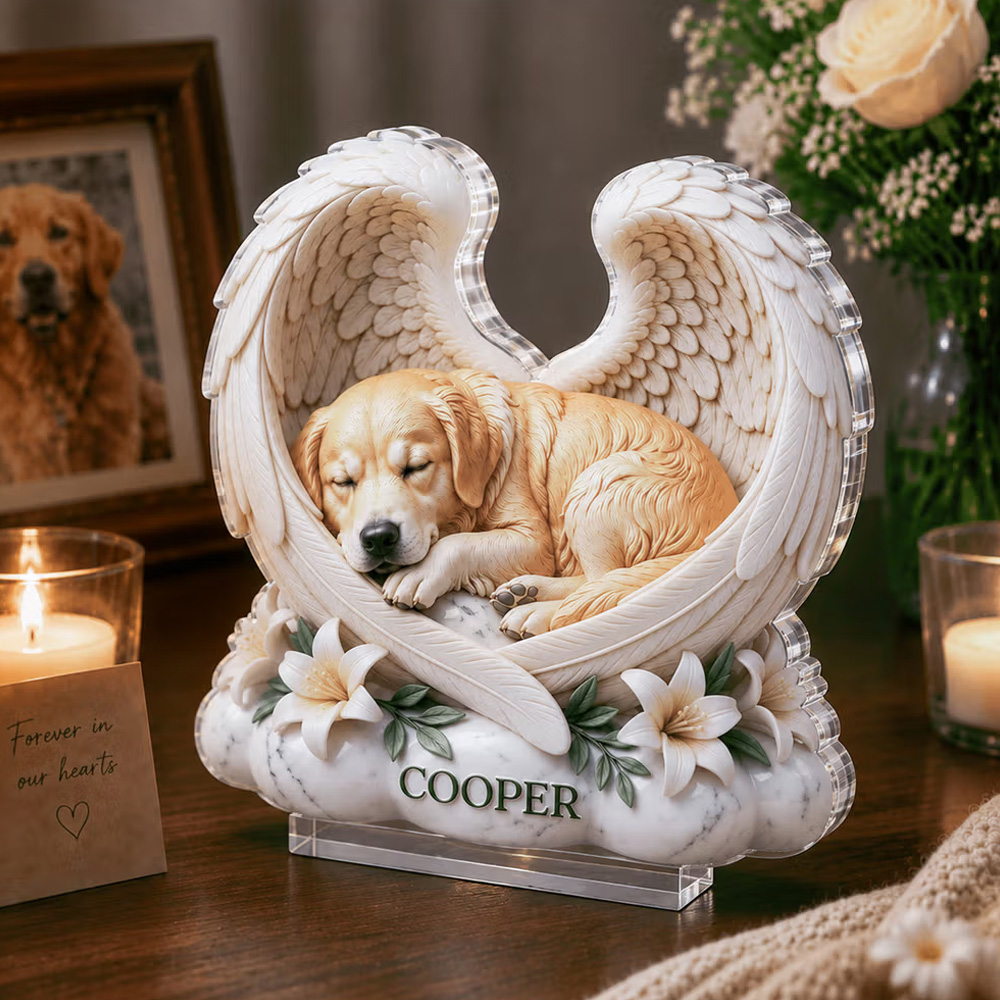 Personalized 3D-Effect Artwork Dog Cat Pet Photo Angel Wings Clear Acrylic Plaque with Name Memorial Gift for Pet Owners Lovers