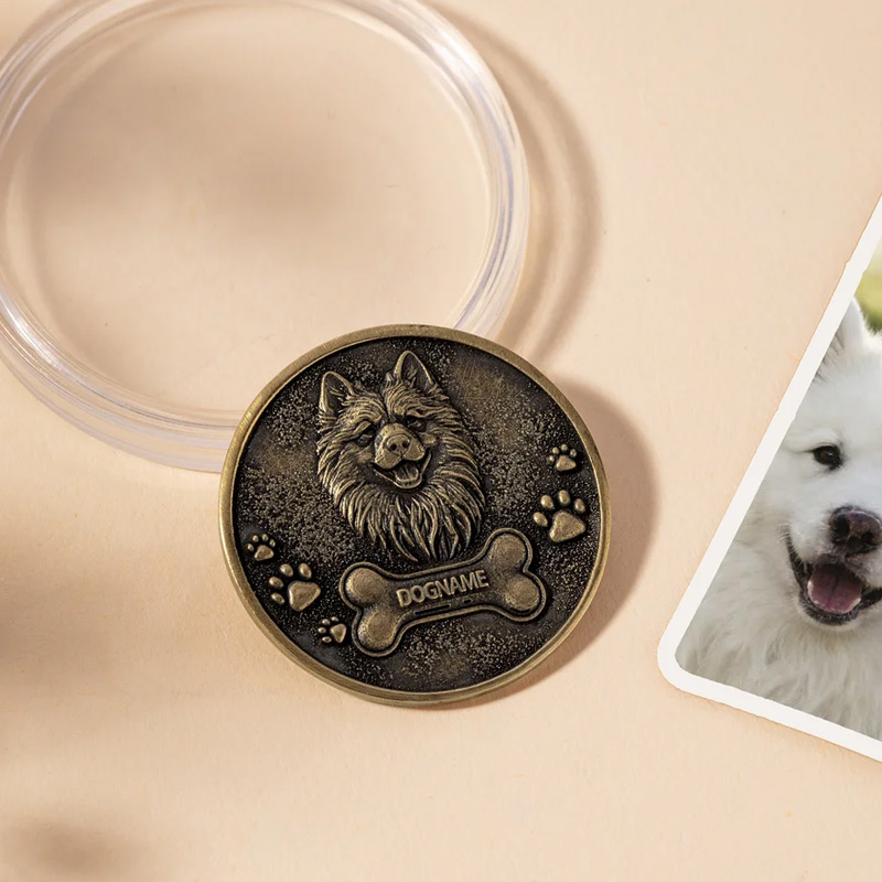 Personalized Paw Print Bone 3D Pet Photo Retro Memorial Coin with Name and Transparent Storage Case Pet Remembrance Gift for Pet Owner Pet Lover