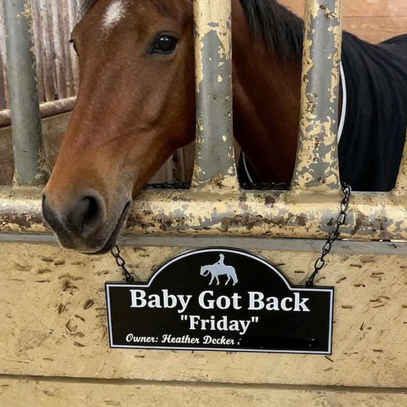 Personalized Horse Stall Sign or Plaque Gift for Horse Owner Equestrian or Horse Trainer Custom Horse Stall Sign Custom Fair Sign