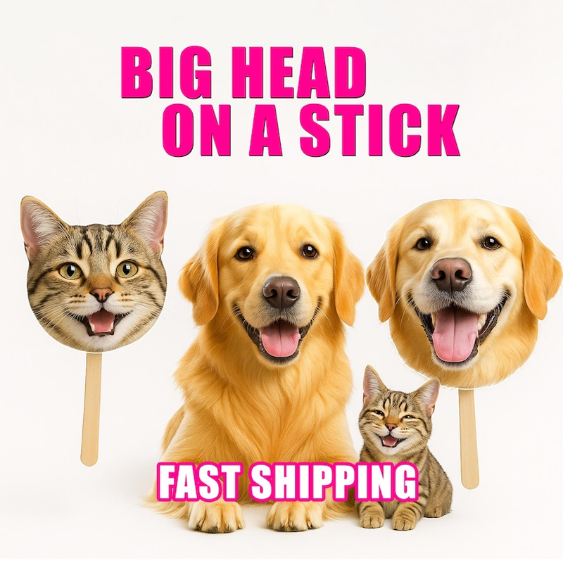 Personalized Face On A Stick Big Head Cutouts Fat Head Face Sign Birthday Photo Party Prop Graduation 