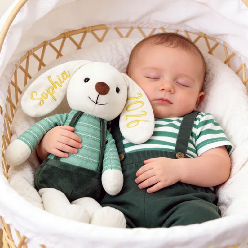 Personalized Soft Bunny Toy Custom Name Embroidered Plush Gift For Newborn Baby