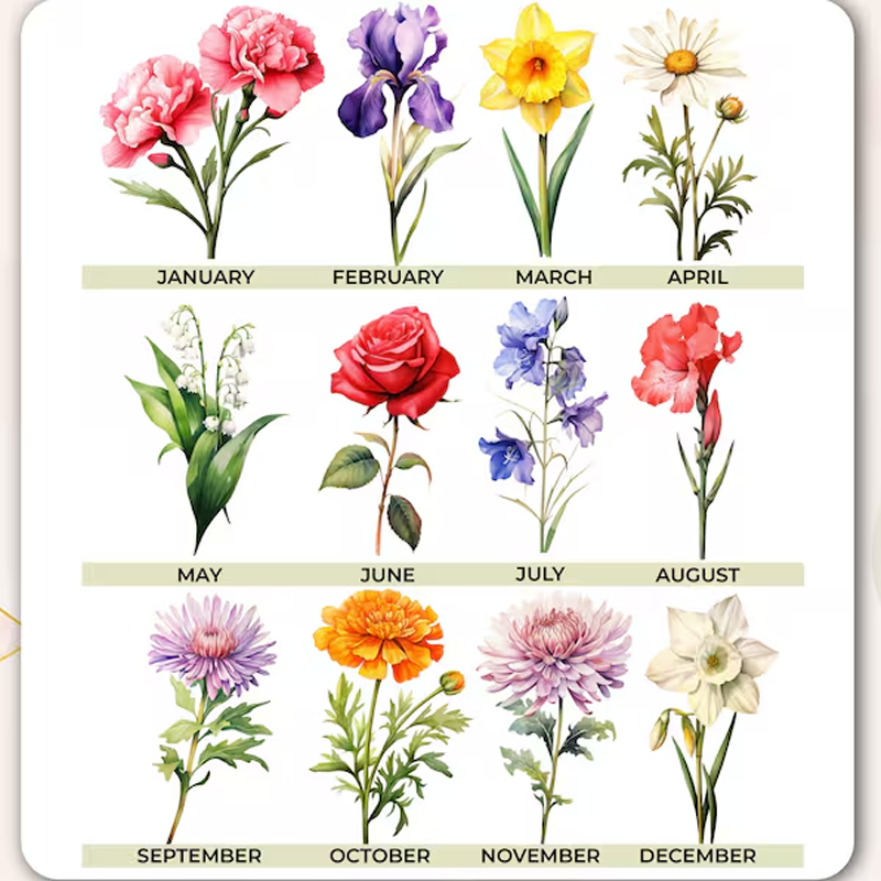 Personalized Gifts for Mom Mom Birthday Gift Ceramic Pot Birth Flower Mom Gifts from Daughter Grandmas Garden Plant Pot