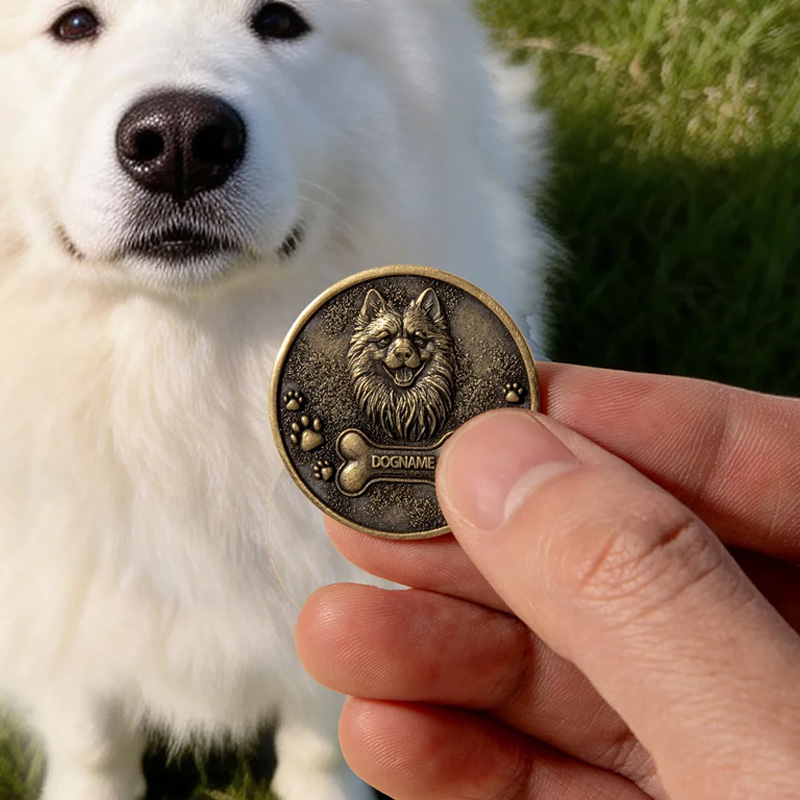 Personalized Paw Print Bone 3D Pet Photo Retro Memorial Coin with Name and Transparent Storage Case Pet Remembrance Gift for Pet Owner Pet Lover