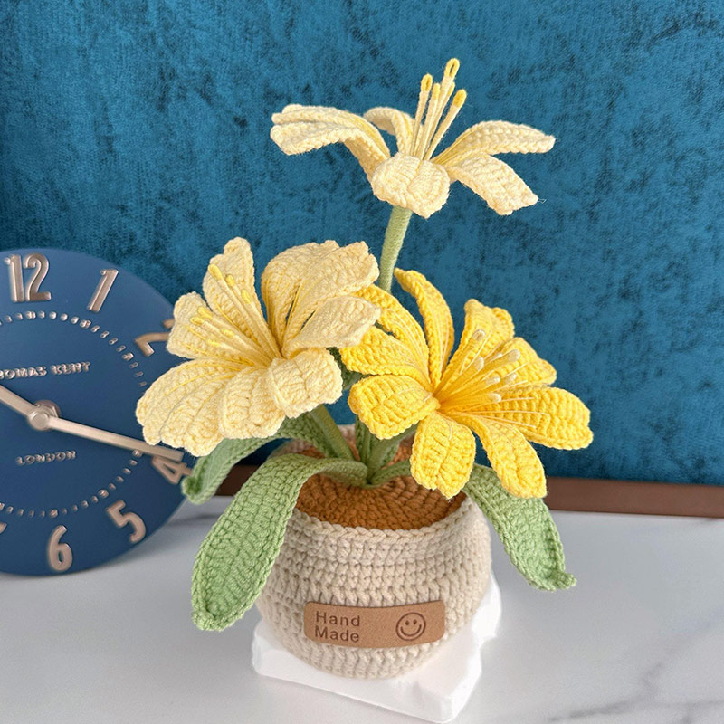 Mothers Day Gift Handmade Knitted Flower Pot Crochet Butterfly Orchid Plant Gift for Mom Grandma Mother's Day Gifts
