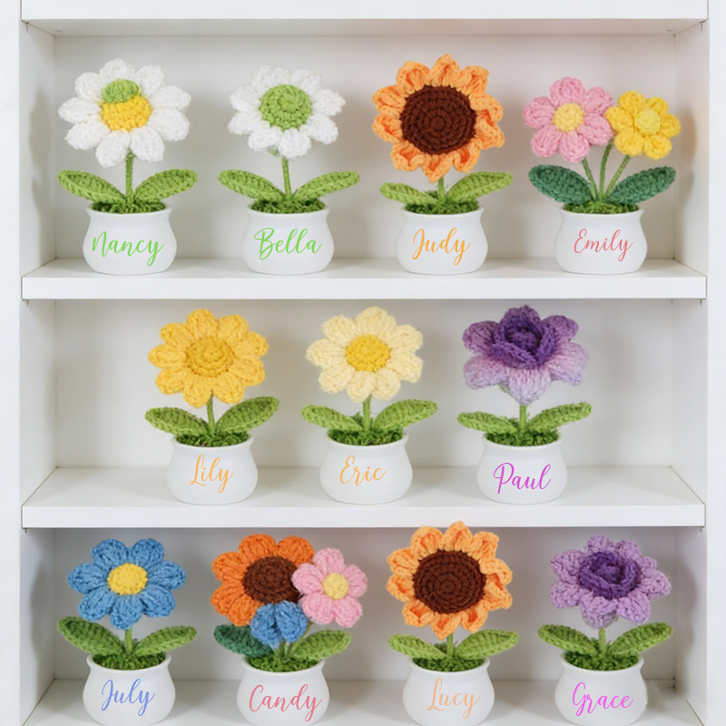 Personalized Crochet Flower in Pot Handmade Gift for Her Personalized Gift for Teacher Home Decoration Desk Decoration Crochet Rose in Pot