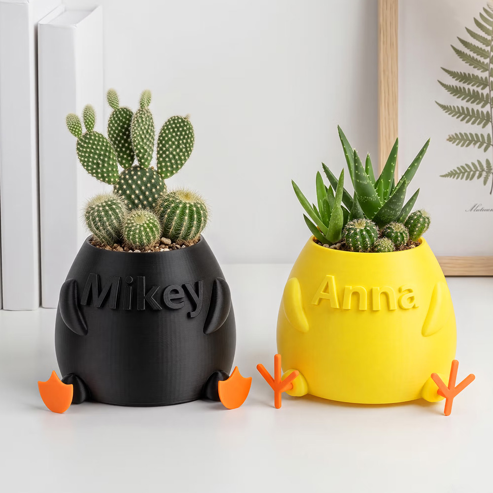 Personalized Name 3D Printed Planter with Duck Feet/Chicken Feet Succulent Flower Plant Pot Farmhouse Decor