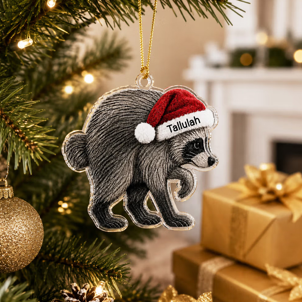 Personalized Jimothy Raccoon Shaped Acrylic Ornament with Name Home Decor Christmas Gift for Family Friends