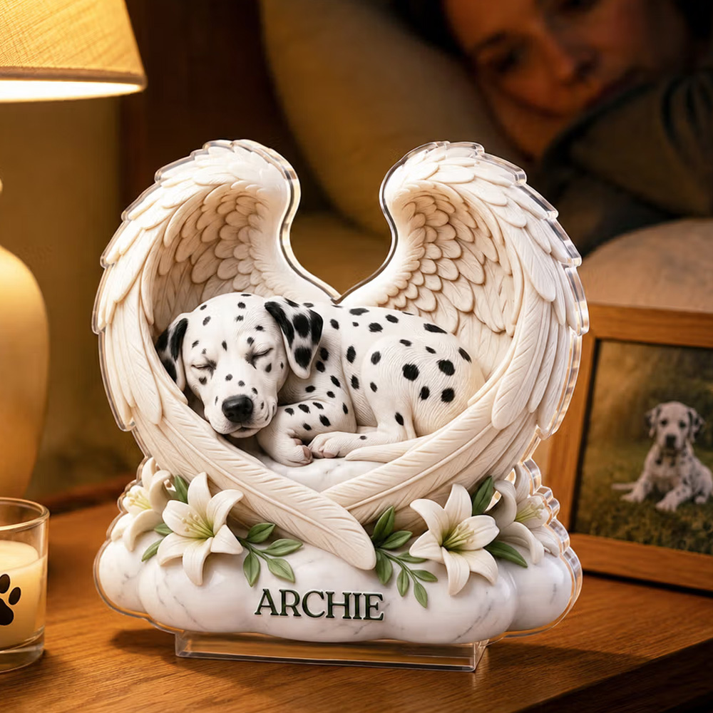 Personalized 3D-Effect Artwork Dog Cat Pet Photo Angel Wings Clear Acrylic Plaque with Name Memorial Gift for Pet Owners Lovers
