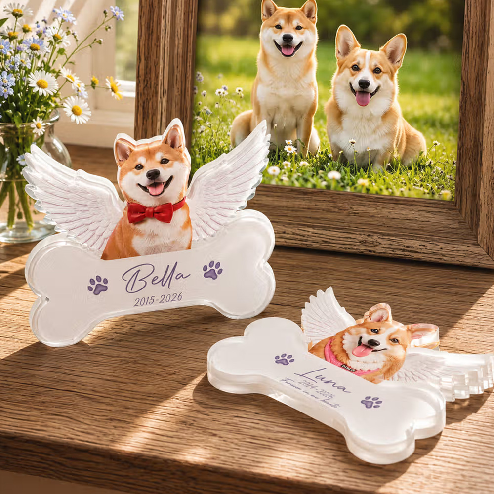 Personalized Dog Cat Photo Angel Wings Memorial Clear Acrylic Plaque with Name and Year Memorial Gift for Pet Owners Lovers