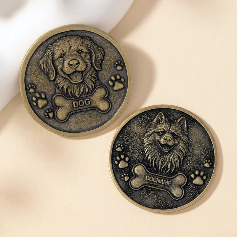 Personalized Paw Print Bone 3D Pet Photo Retro Memorial Coin with Name and Transparent Storage Case Pet Remembrance Gift for Pet Owner Pet Lover