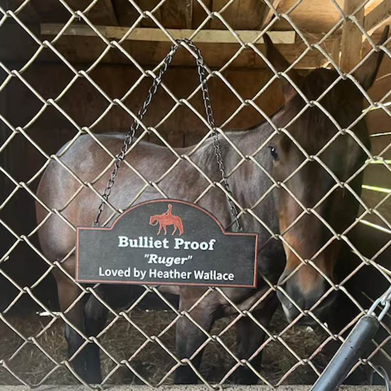 Personalized Horse Stall Sign or Plaque Gift for Horse Owner Equestrian or Horse Trainer Custom Horse Stall Sign Custom Fair Sign