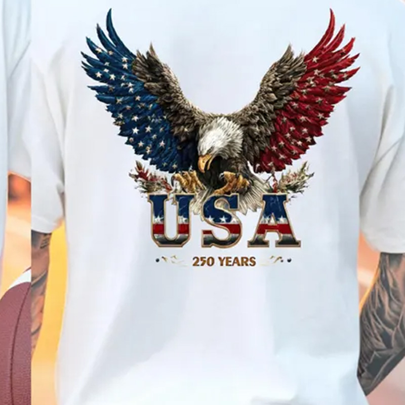 Vintage American Eagle USA Flag Graphic Patriotic Freedom Spirit Casual Independence Celebration T Shirt