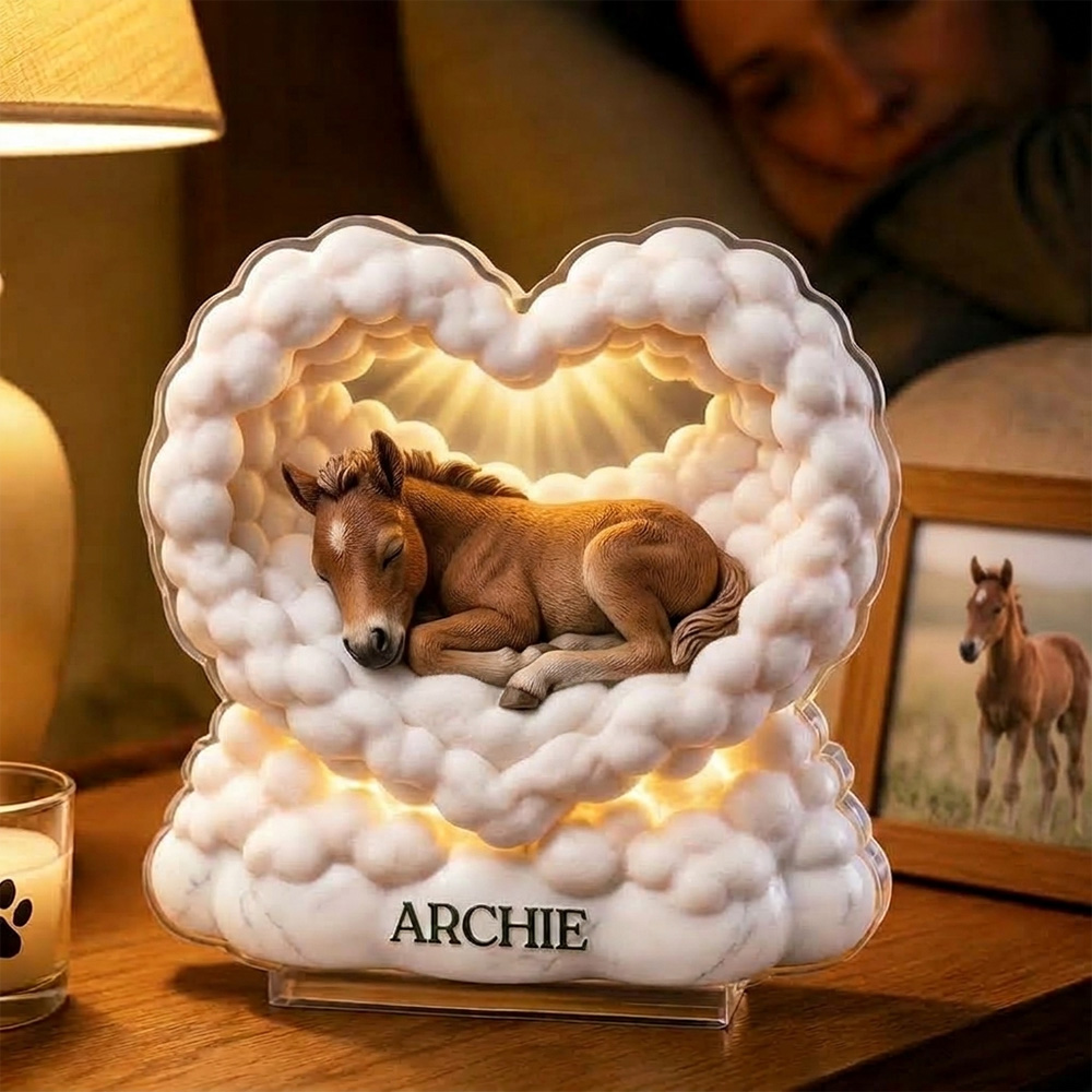 Personalized 3D-Effect Pet Memorial Cloud Heart Acrylic Plaque Custom Name Lamp Pet Loss Keepsake Gift For Pet Lovers