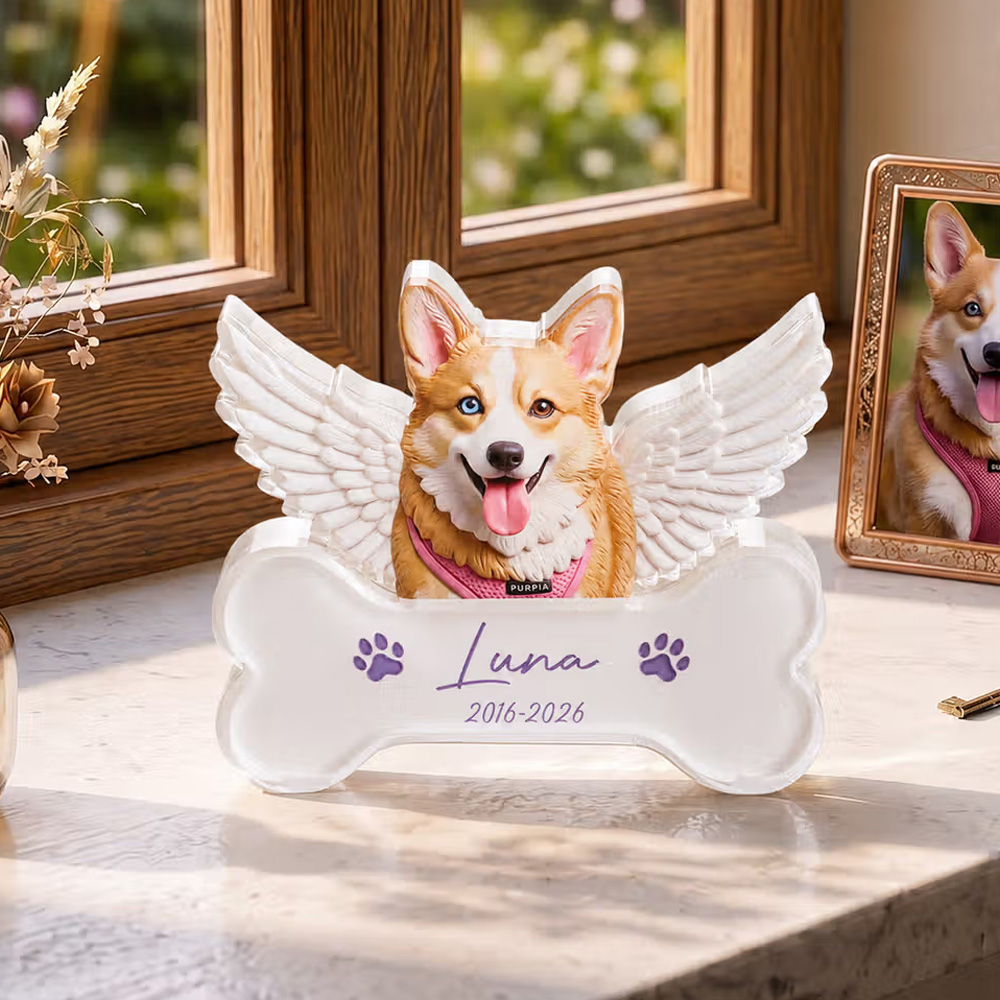 Personalized Dog Cat Photo Angel Wings Memorial Clear Acrylic Plaque with Name and Year Memorial Gift for Pet Owners Lovers