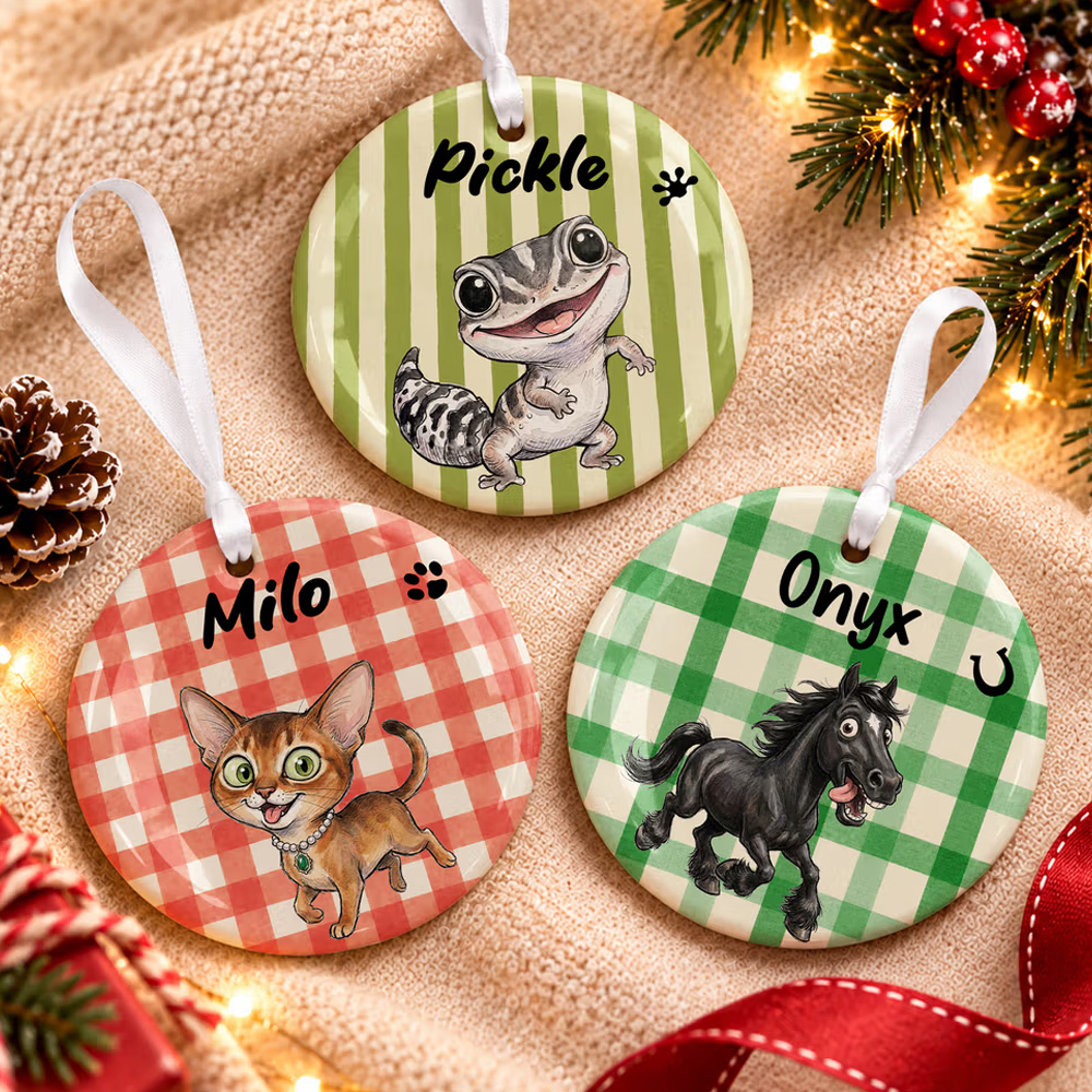 Personalized Multicolor Watercolor Style Quirky Animal Photo Ceramic Ornament with Name Christmas Gift for Family Friends Pet Owners