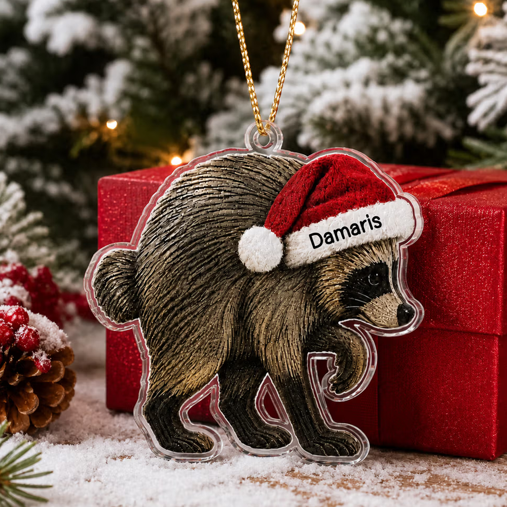 Personalized Jimothy Raccoon Shaped Acrylic Ornament with Name Home Decor Christmas Gift for Family Friends
