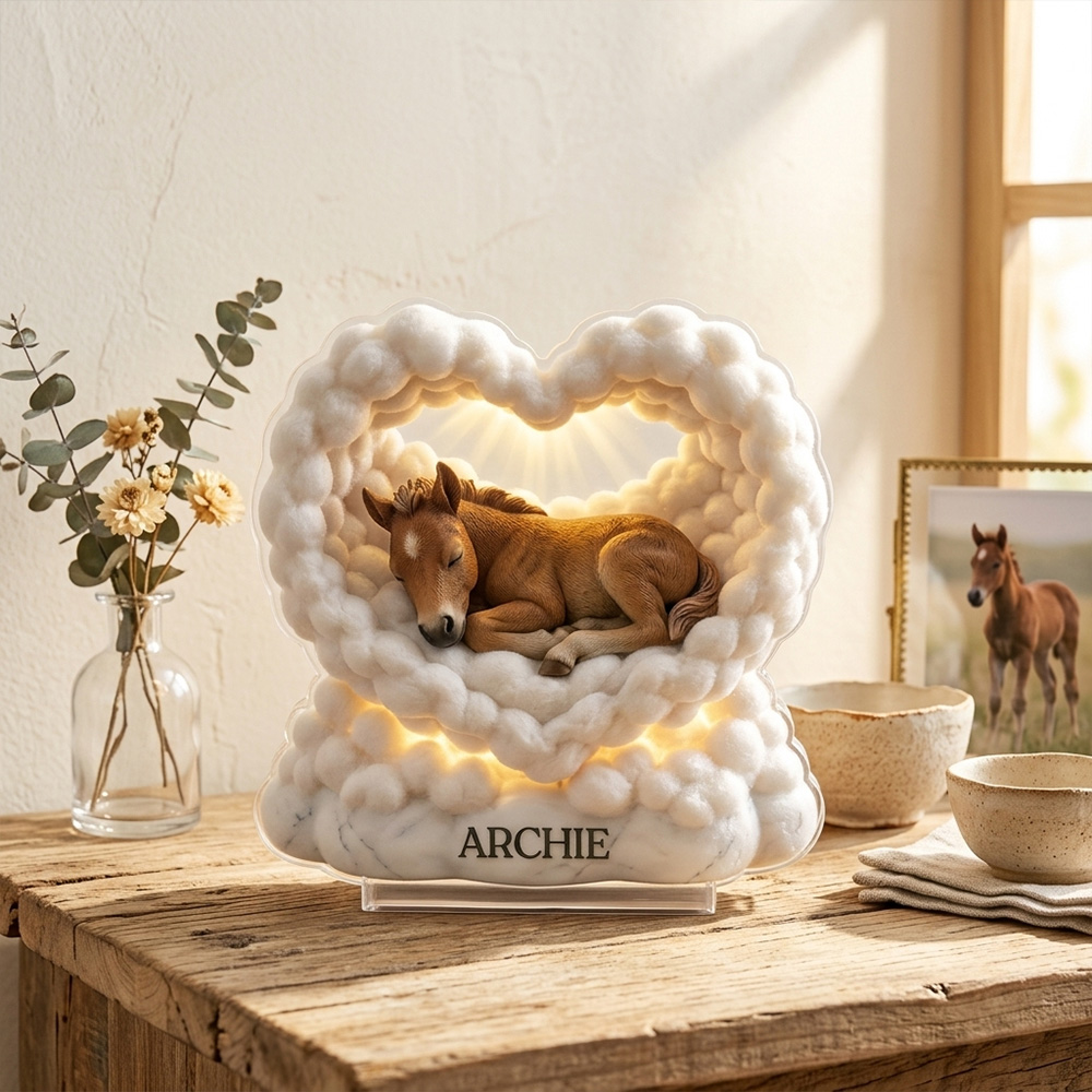 Personalized 3D-Effect Pet Memorial Cloud Heart Acrylic Plaque Custom Name Lamp Pet Loss Keepsake Gift For Pet Lovers