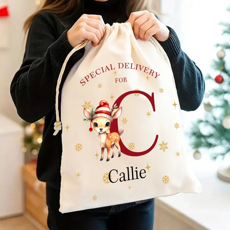 Personalized Special Delivery Christmas Theme Animal Pattern Drawstring Canvas Gift Bag with Name Christmas Gift for Kid