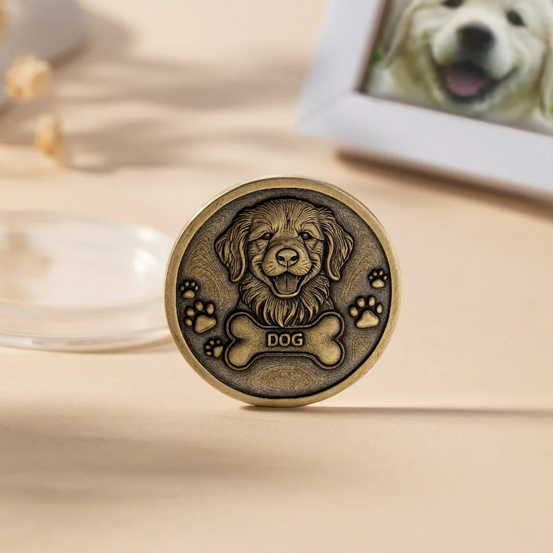 Personalized Paw Print Bone 3D Pet Photo Retro Memorial Coin with Name and Transparent Storage Case Pet Remembrance Gift for Pet Owner Pet Lover