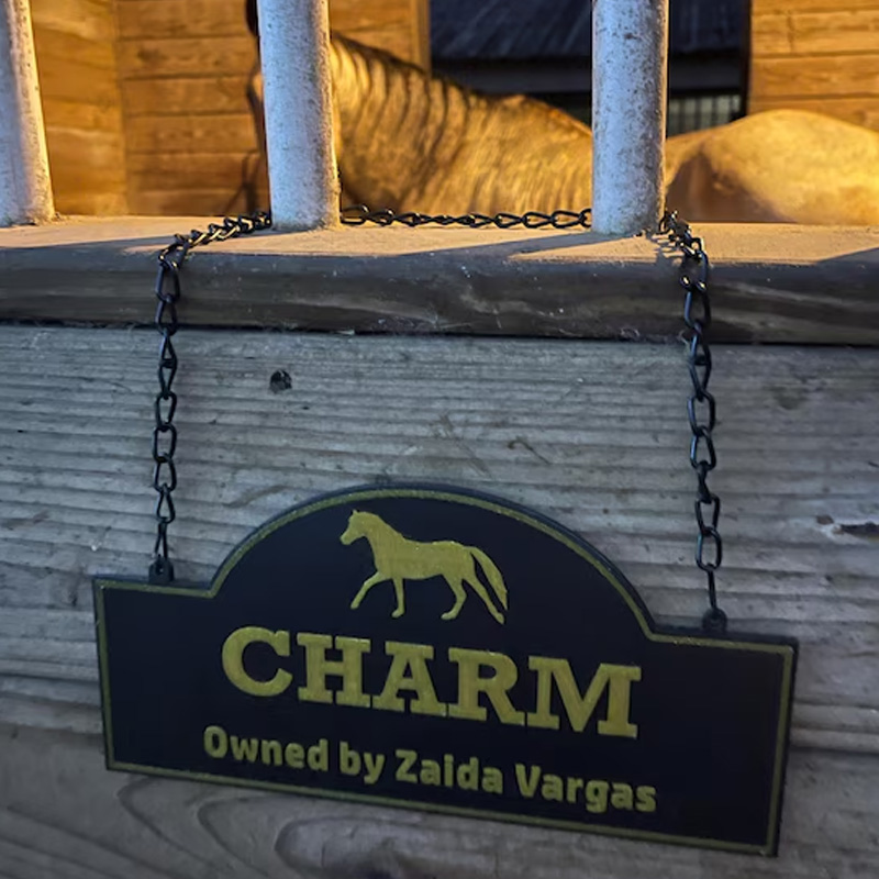 Personalized Horse Stall Sign or Plaque Gift for Horse Owner Equestrian or Horse Trainer Custom Horse Stall Sign Custom Fair Sign