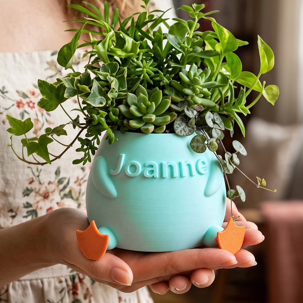 Personalized Name 3D Printed Planter with Duck Feet/Chicken Feet Succulent Flower Plant Pot Farmhouse Decor