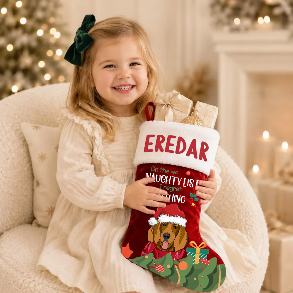 Personalized Dog Christmas Stocking Custom Name Pet Christmas Eve Treats Gift For Dog Lovers Holiday Fireplace Mantel Decoration