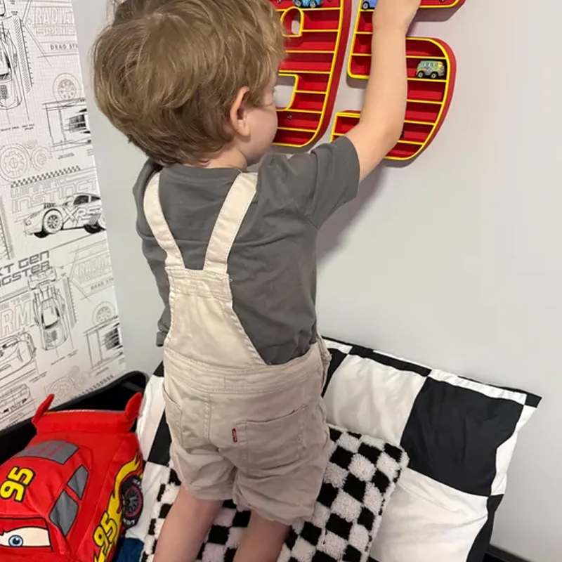 95 Cars Theme Mini Shelf Storage For Mini Racers Matchbox Toys Gifts for Kids and Collectors