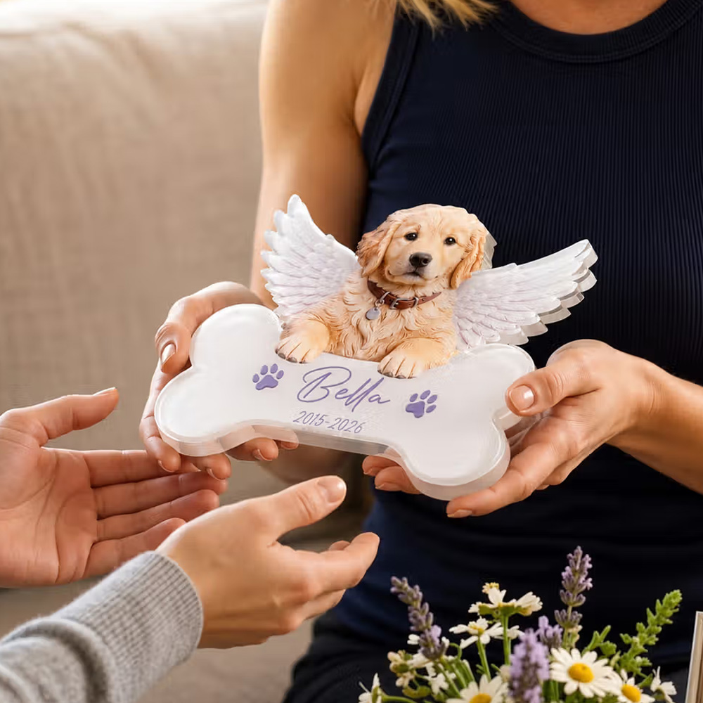 Personalized Dog Cat Photo Angel Wings Memorial Clear Acrylic Plaque with Name and Year Memorial Gift for Pet Owners Lovers