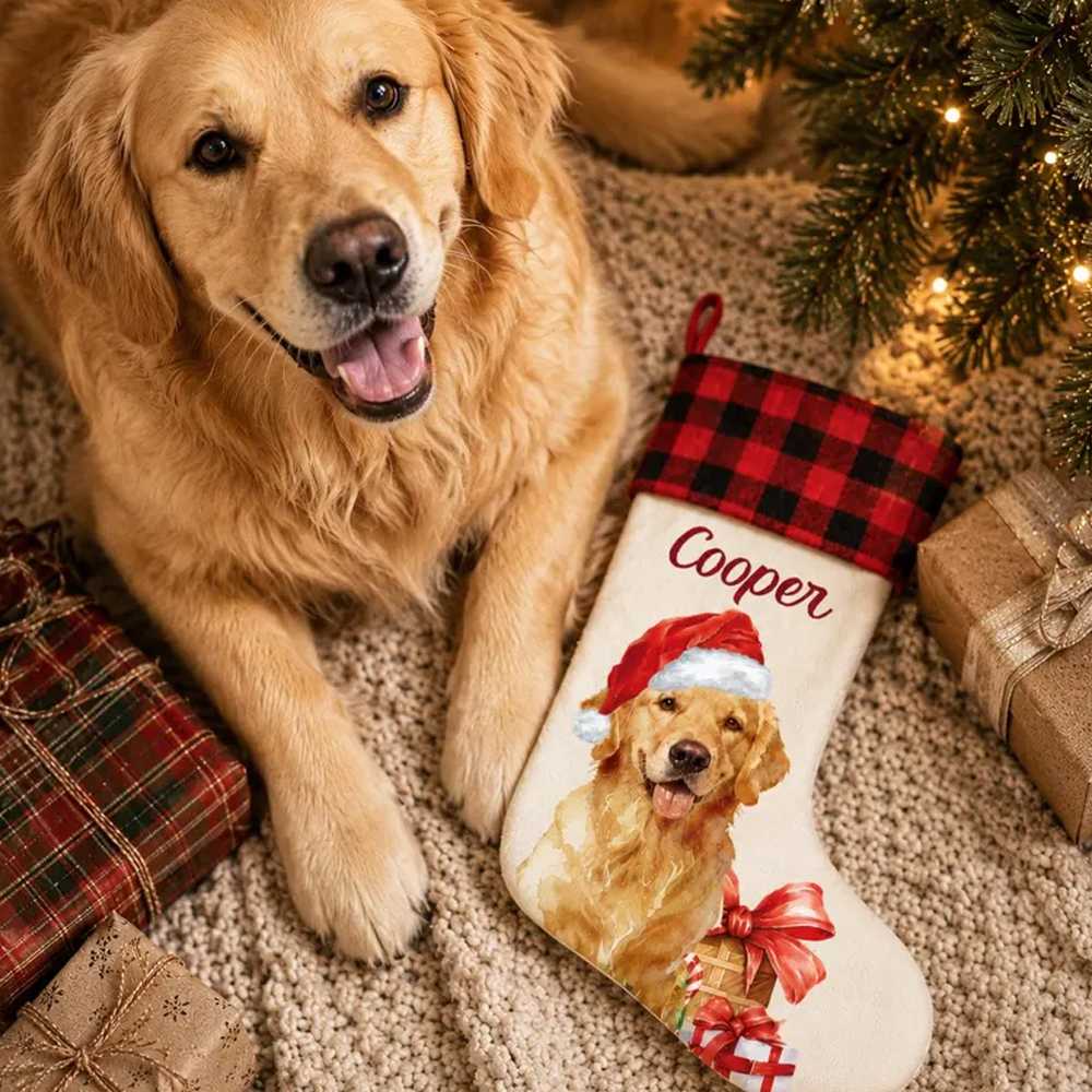 Personalized Pet Christmas Stockings Custom Pet Name Santa Hat Stockings For Dogs Puppy Lovers Family Fireplace Mantel Holiday Decor Xmas Gift